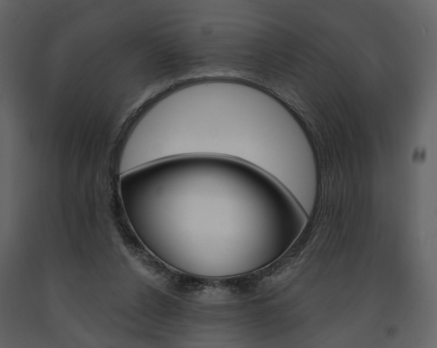 X0000091670256200708231020