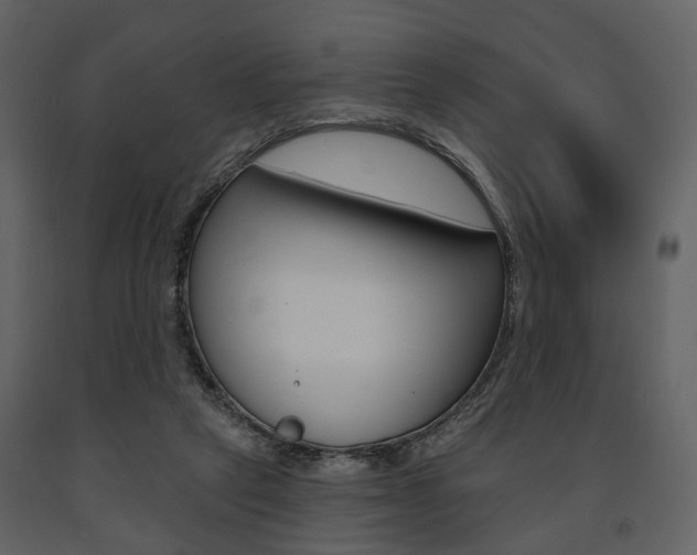 X0000091670257200708231020