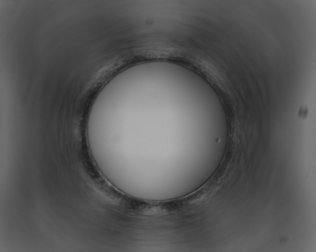 X0000091670258200708231020