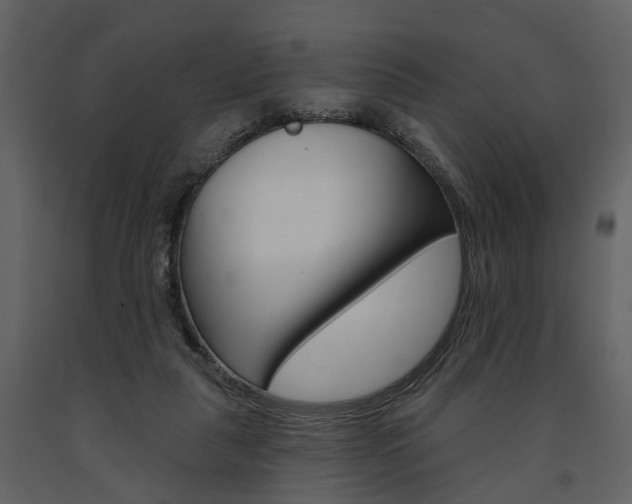 X0000091670259200708231020