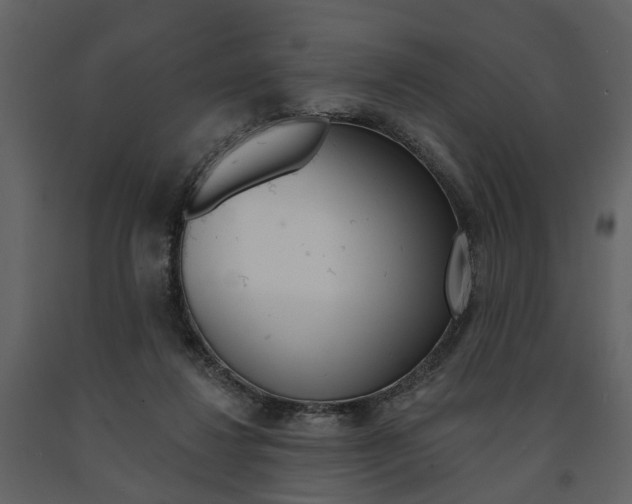 X0000091670260200708231020