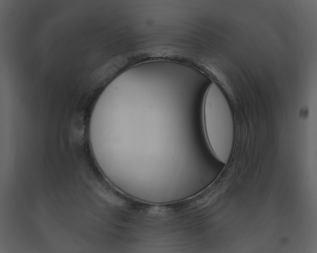 X0000091670261200708231020