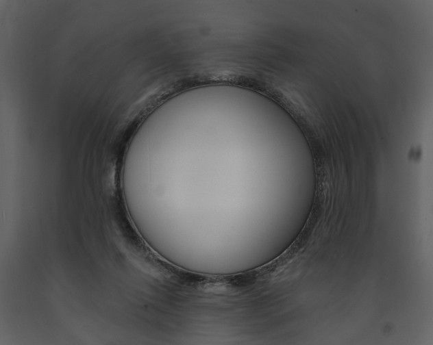 X0000091670262200708231020