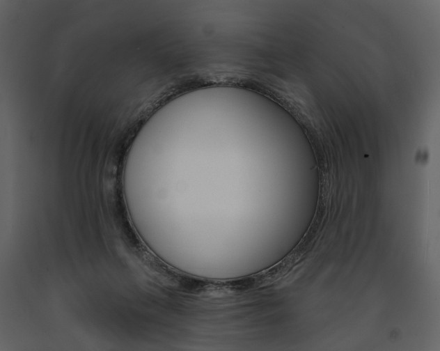 X0000091670263200708231020