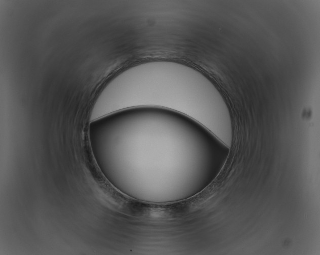 X0000091670264200708231020