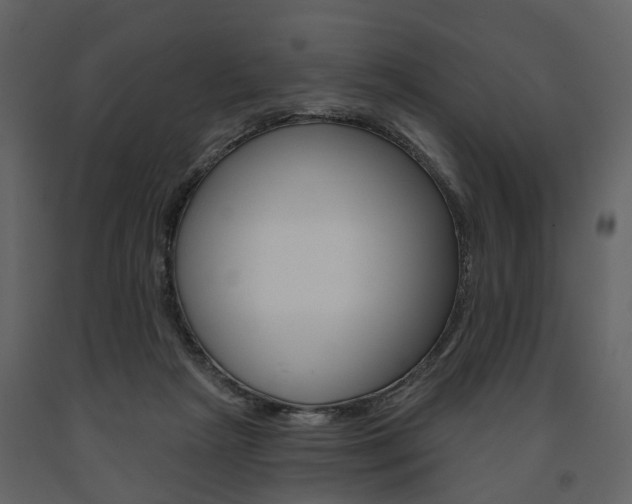 X0000091670265200708231020