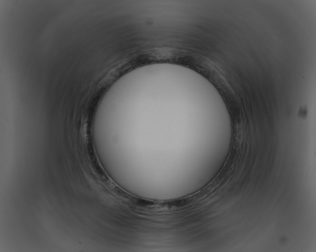 X0000091670267200708231020