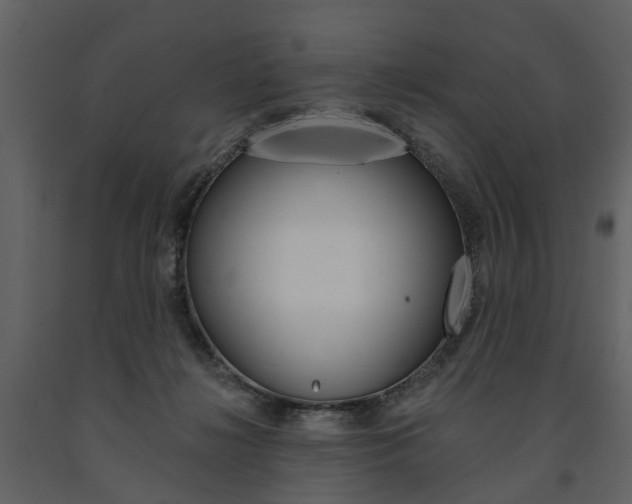 X0000091670268200708231020