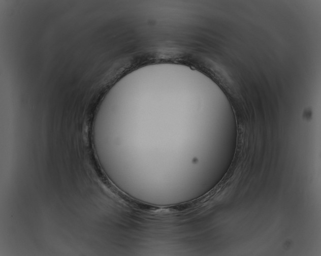 X0000091670269200708231020