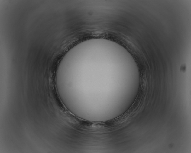 X0000091670270200708231020