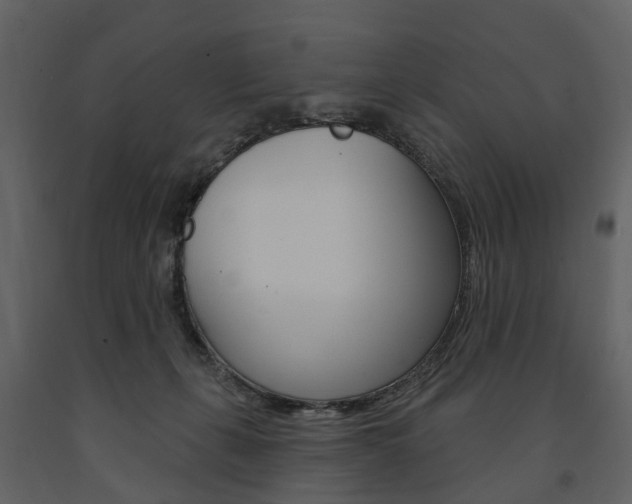 X0000091670271200708231020