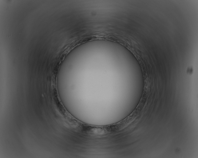 X0000091670272200708231020