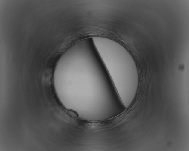 X0000091670273200708231020