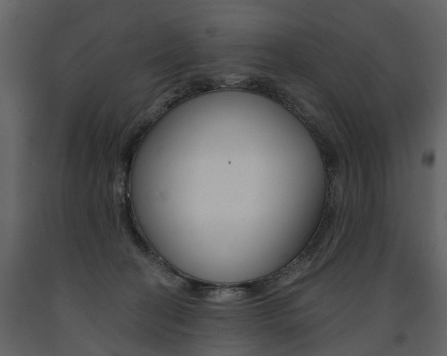 X0000091670274200708231020