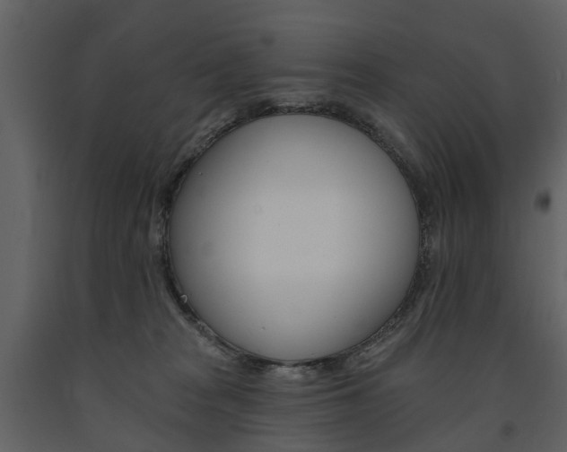 X0000091670277200708231020