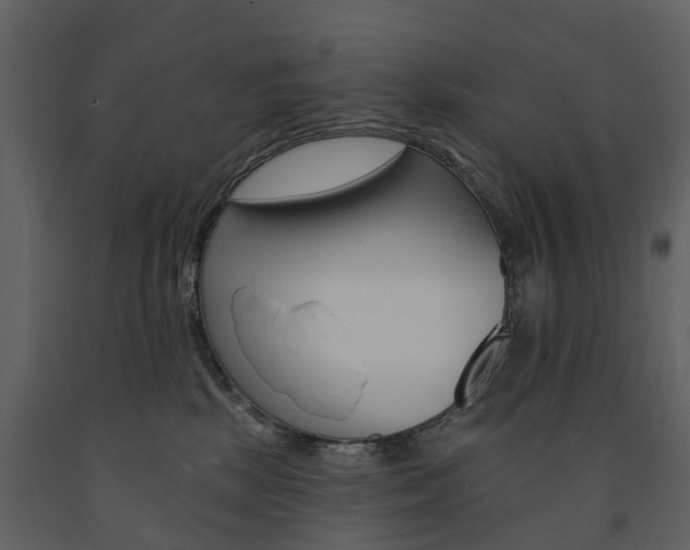 X0000091670281200708231020