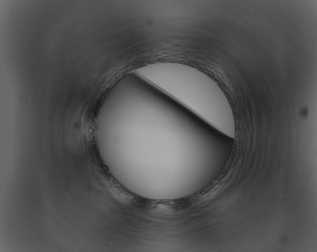 X0000091670285200708231020