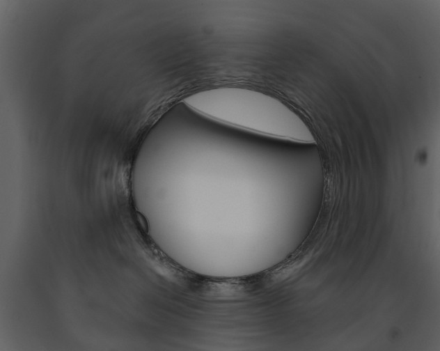 X0000091670286200708231020
