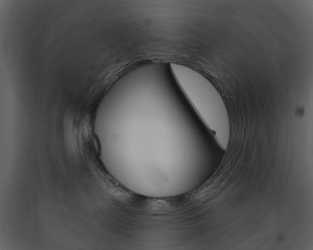 X0000091670287200708231020
