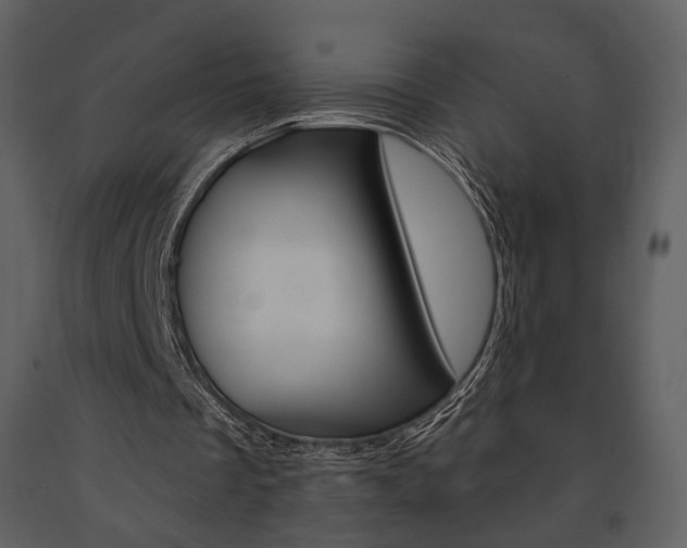 X0000091670289200708231020