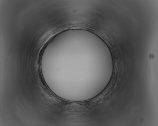 X0000091670290200708231020