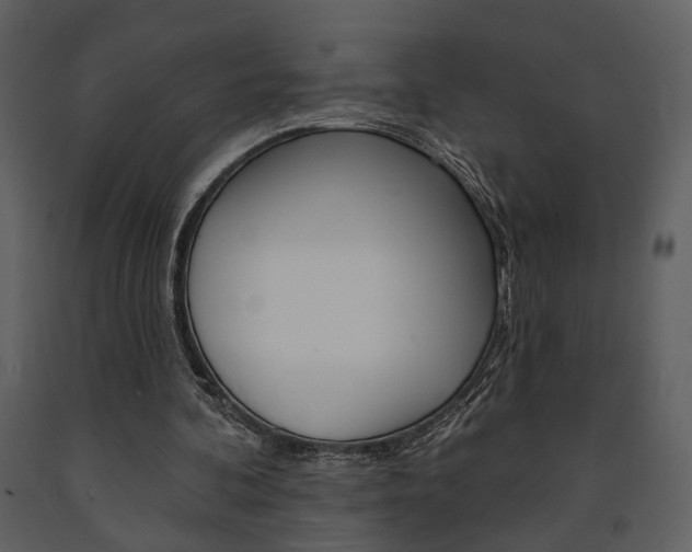 X0000091670292200708231019