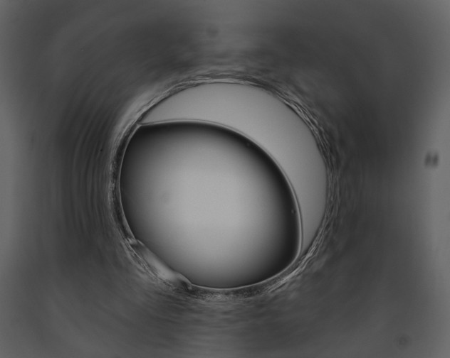 X0000091670293200708231019