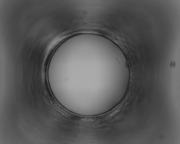 X0000091670294200708231019