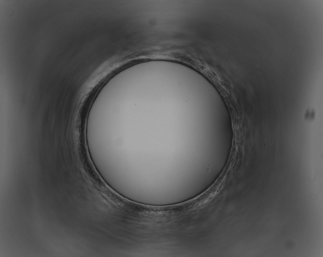 X0000091670295200708231019