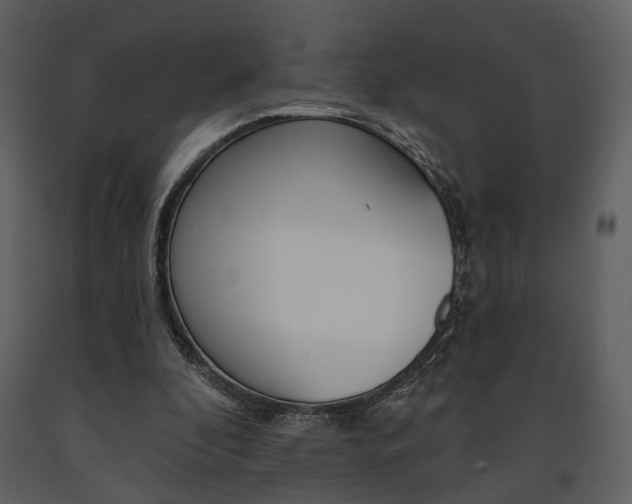 X0000091670296200708231019