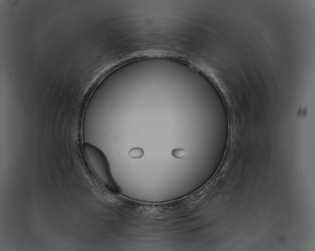 X0000091670297200708231019