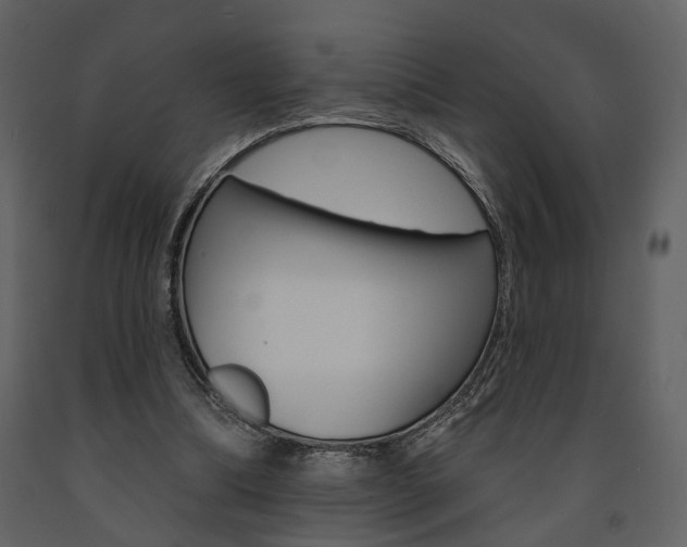 X0000091670298200708231019