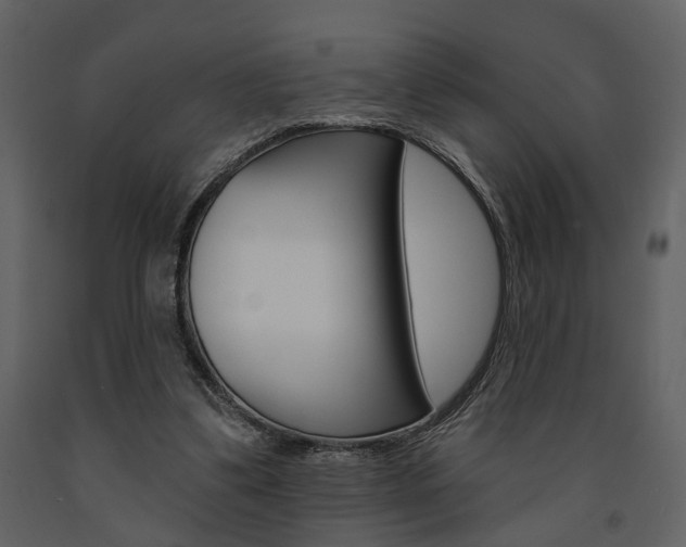X0000091670299200708231019