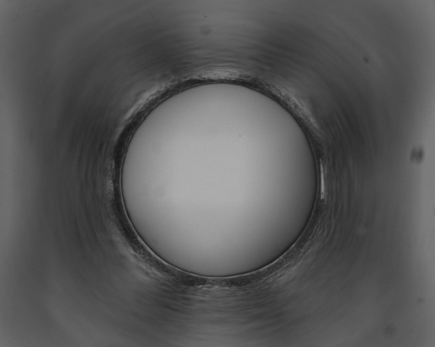 X0000091670300200708231019