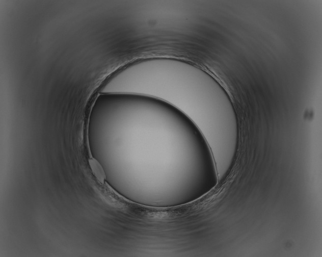X0000091670301200708231019