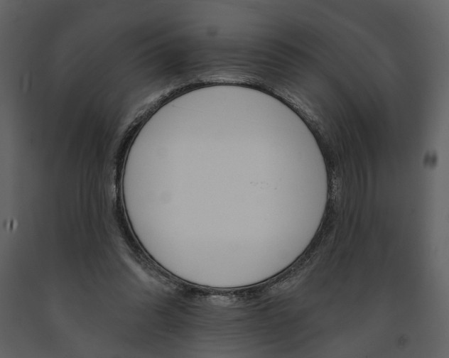 X0000091670302200708231019