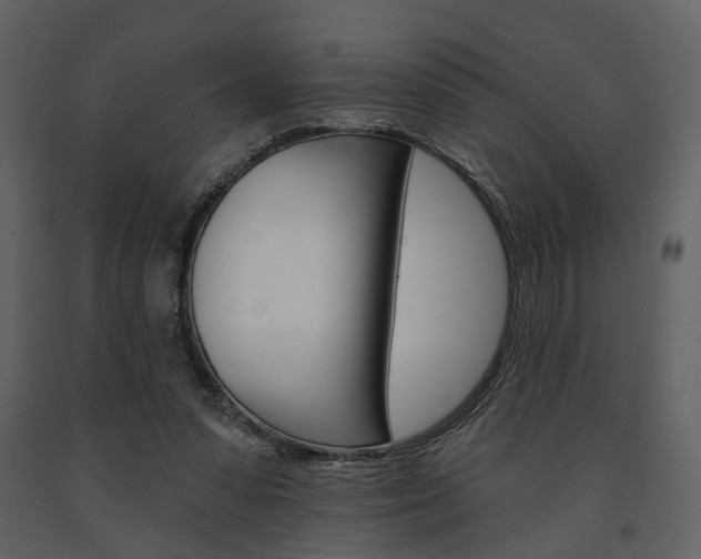X0000091670303200708231019