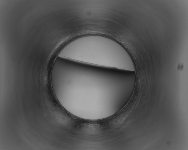 X0000091670304200708231019
