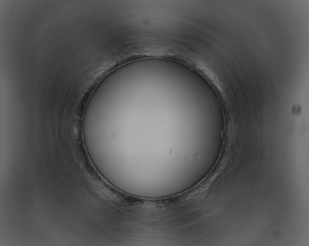 X0000091670305200708231019