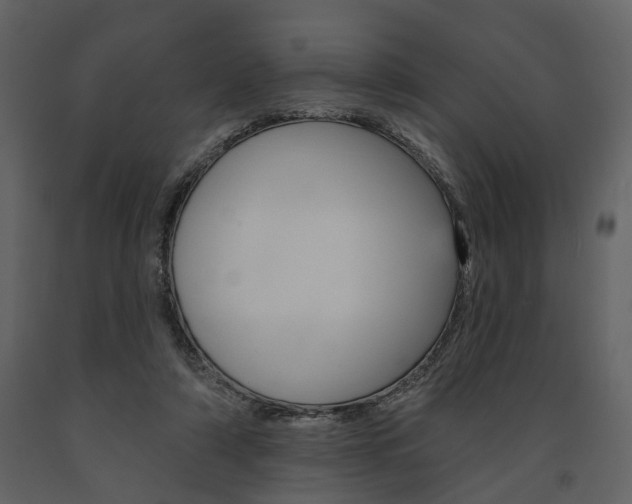 X0000091670306200708231019
