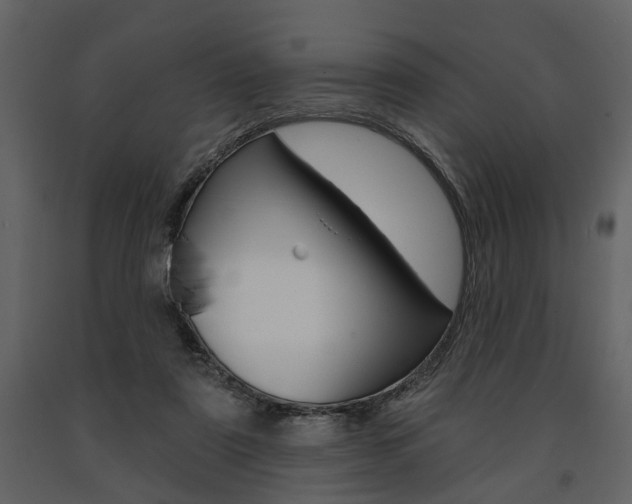 X0000091670307200708231019