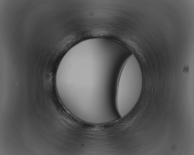 X0000091670308200708231019