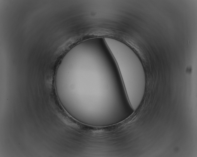 X0000091670309200708231019