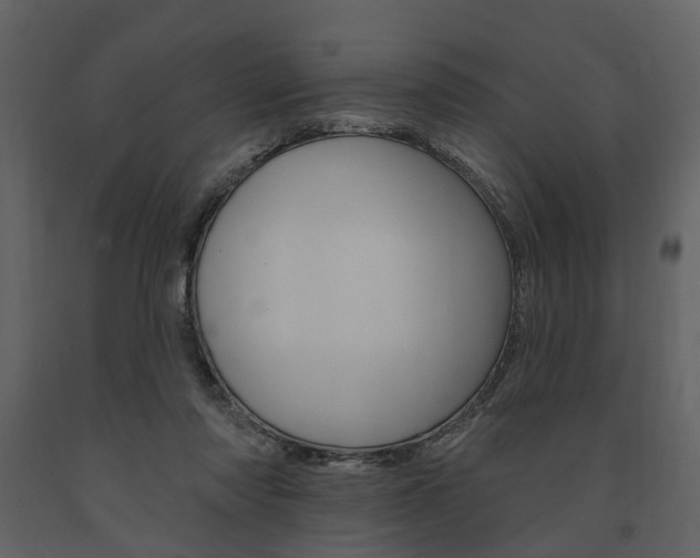 X0000091670310200708231019