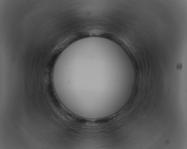 X0000091670311200708231019