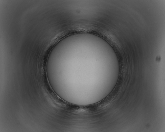 X0000091670312200708231019