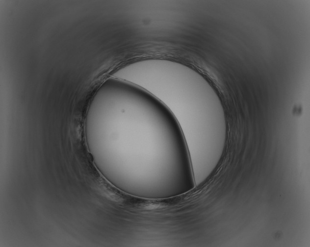 X0000091670313200708231019
