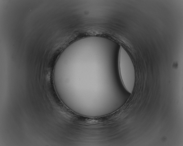 X0000091670315200708231019