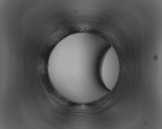 X0000091670316200708231019