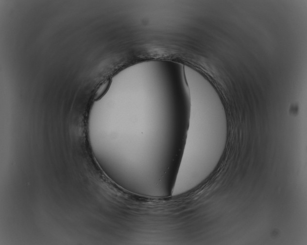X0000091670317200708231019